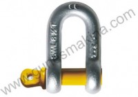 Shackle 